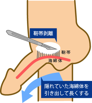 ペニスサイズを一発測定！トイレットペーパーチャレンジ！