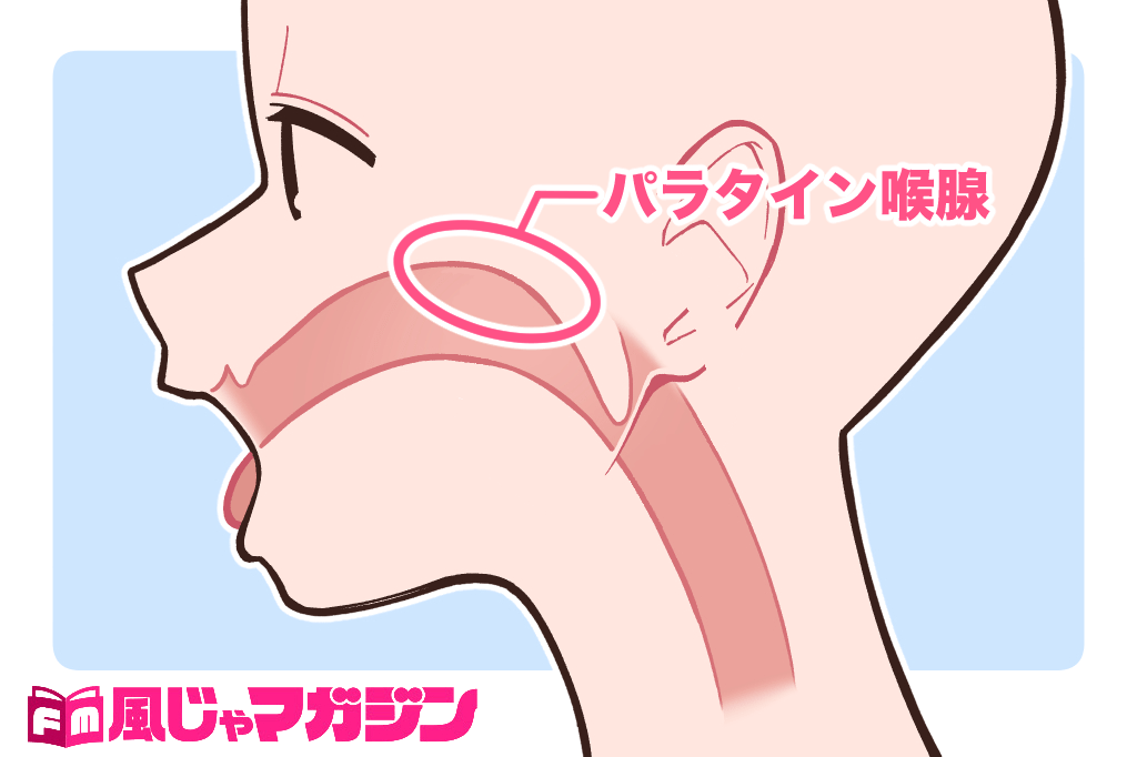 読者質問】性感帯だったところが、くすぐったい部分に戻ってしまったのですが… - sexprogress.com