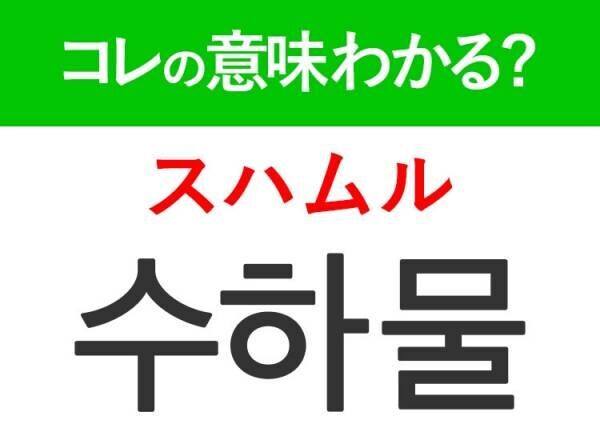 ホテルでよく聞く「ベルデスク」とは？意味から役割まで詳しく解説！ | 【公式】You