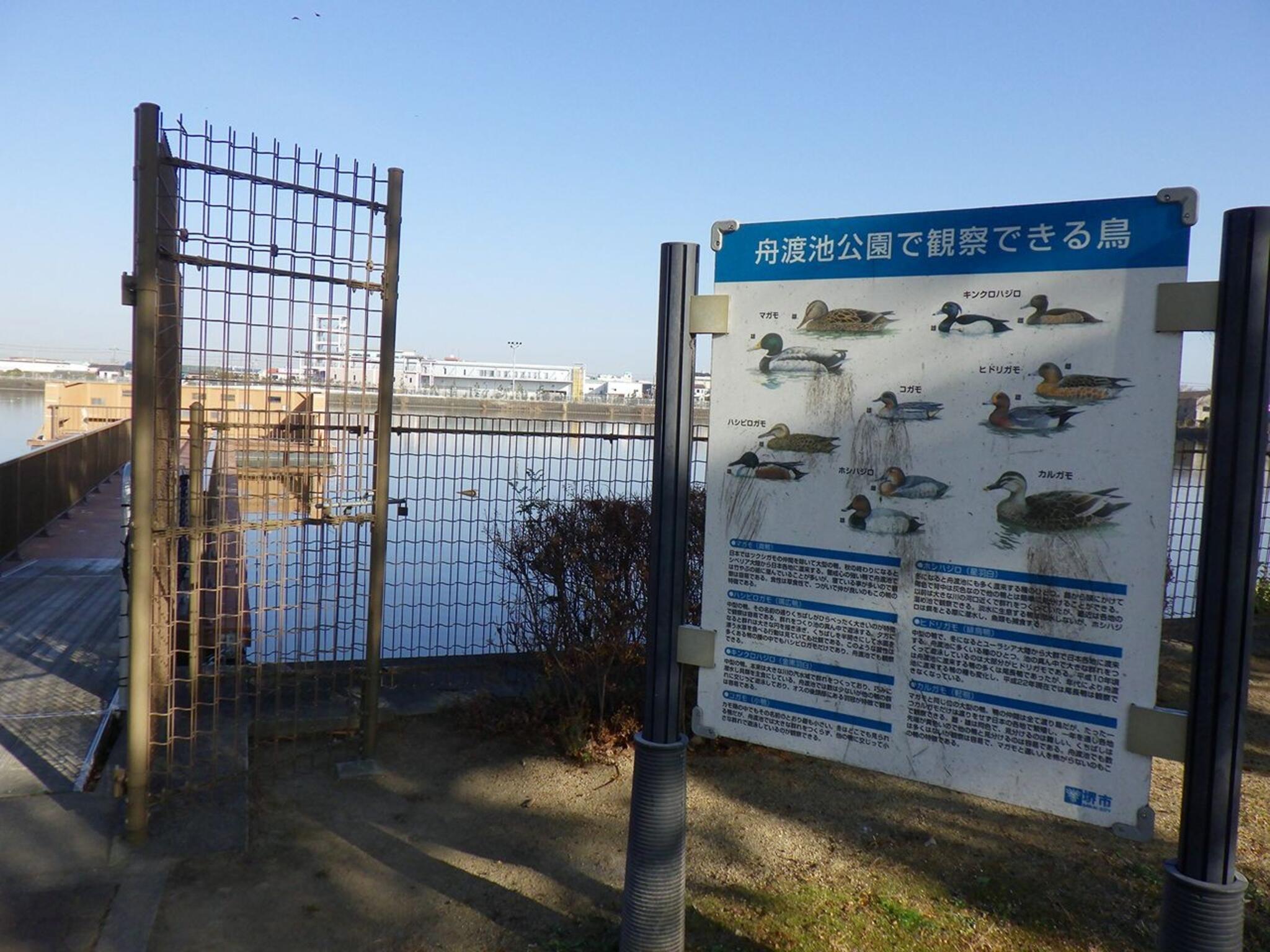 堺市美原区】池の中に出ていける野鳥観測スポットがある舟渡池公園とは（あおいみかん） - エキスパート