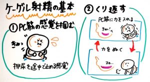 PC筋｜大人のおもちゃ用語辞典