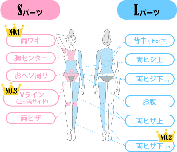 TBCの脱毛体験談～ウワサの痛みと勧誘に挑む！～