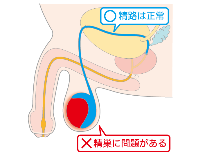 画像】【内緒のHテク】気持ちいい？ドン引き？男子に学ぶ、秒で惚れるフェラのコツ♡ 5/6 - Peachy（ピーチィ） -