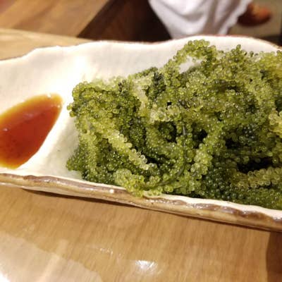 玉金 西池袋店(東京都豊島区西池袋/居酒屋) - PayPayグルメ