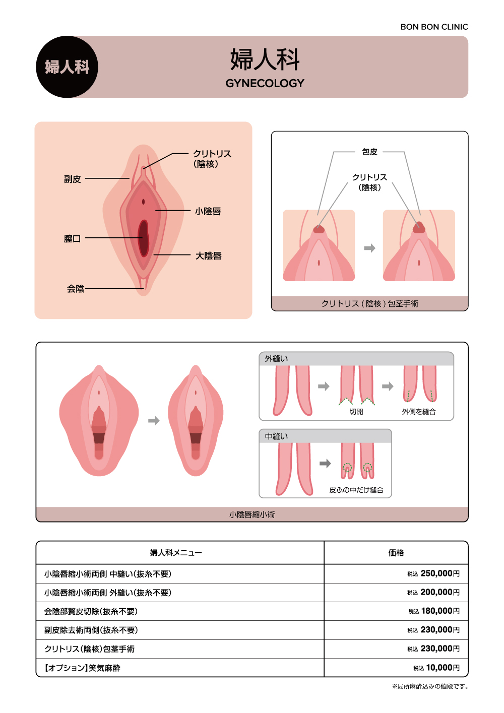 クリトリスとは？機能や役割、語源をわかりやすくまとめました | 腟ペディア（チツペディア）