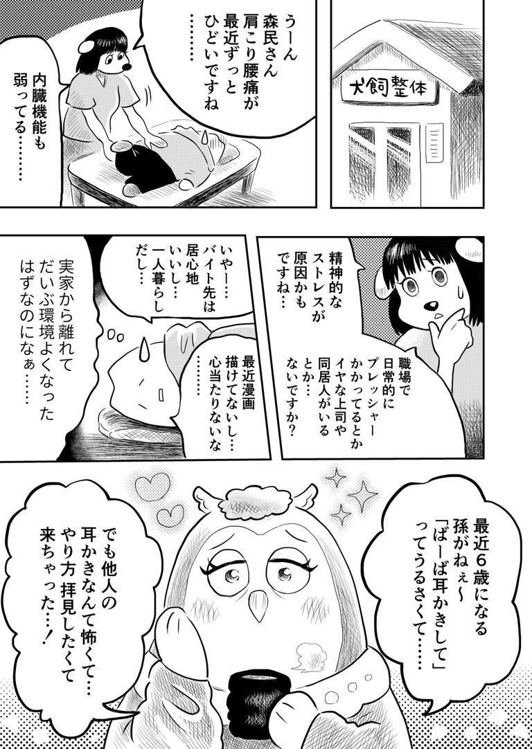 耳かき ステンレス 耳掃除 耳垢 ごっそり