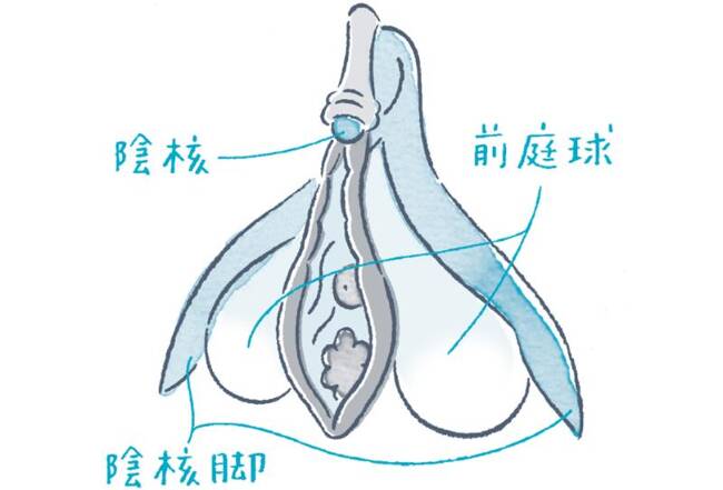 50%OFF】【生SE】男になるために先生にクリトリスをちんぽにしてもらいながらおしっこ練習する話 [えっちにいじめられる女の子] レビュー一覧