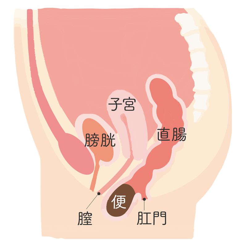 ア○ニーって実際気持ちいいの？女性は知らないアレコレ｜BLニュース ちるちる