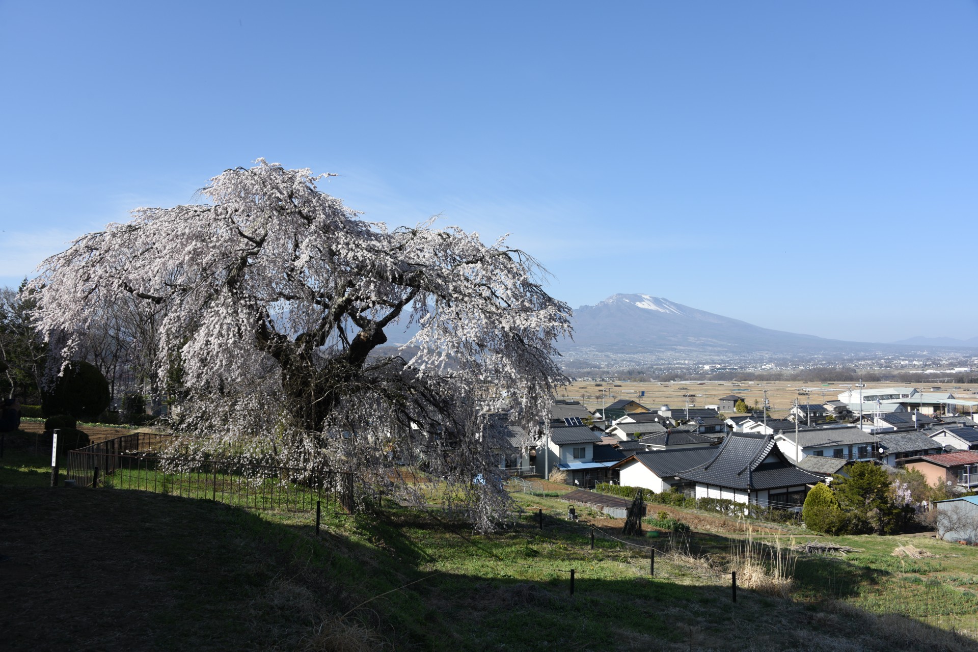 幽霊が出ると噂のホテルに泊まってきました