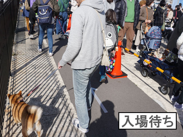 こんにちは☺ 今週末のイベント出店は２か所ございます。 始めに、「わんだらけ」の出店について