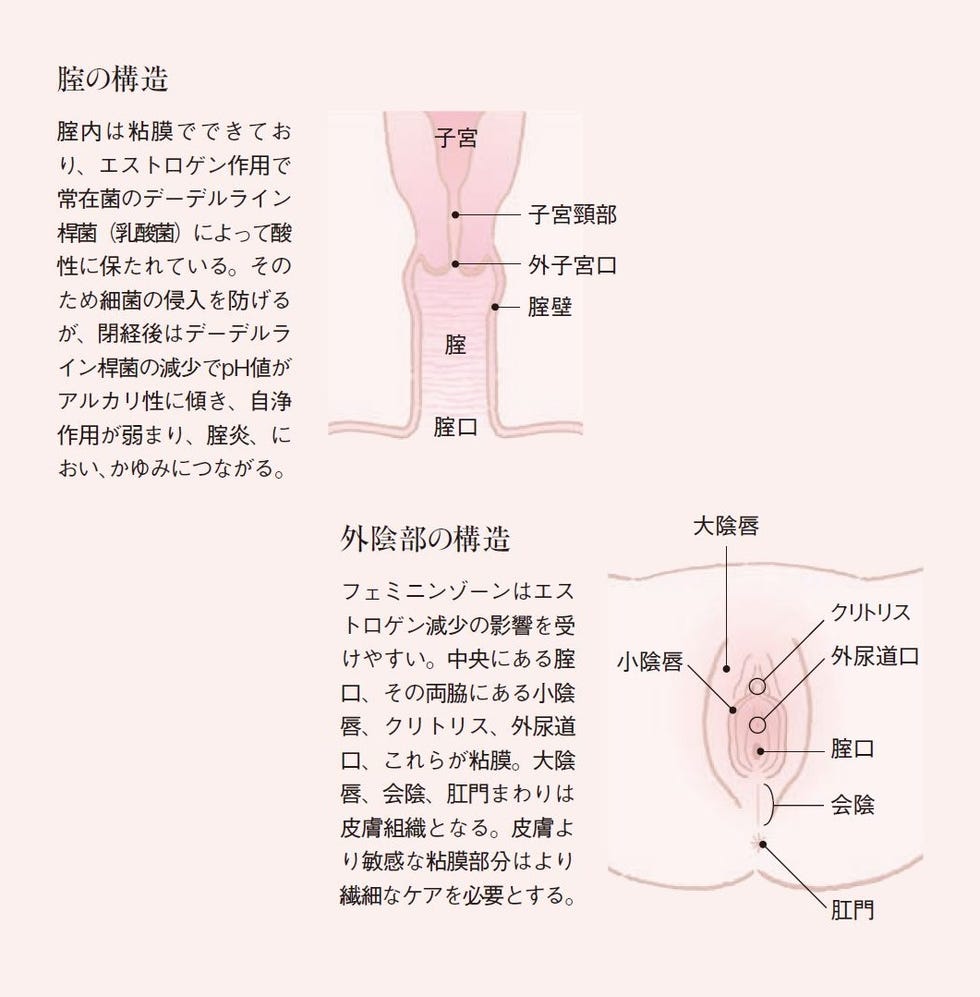 クリトリスってどこ？仕組みや気持ちいいと感じる刺激方法を徹底解説 | ファッションメディア