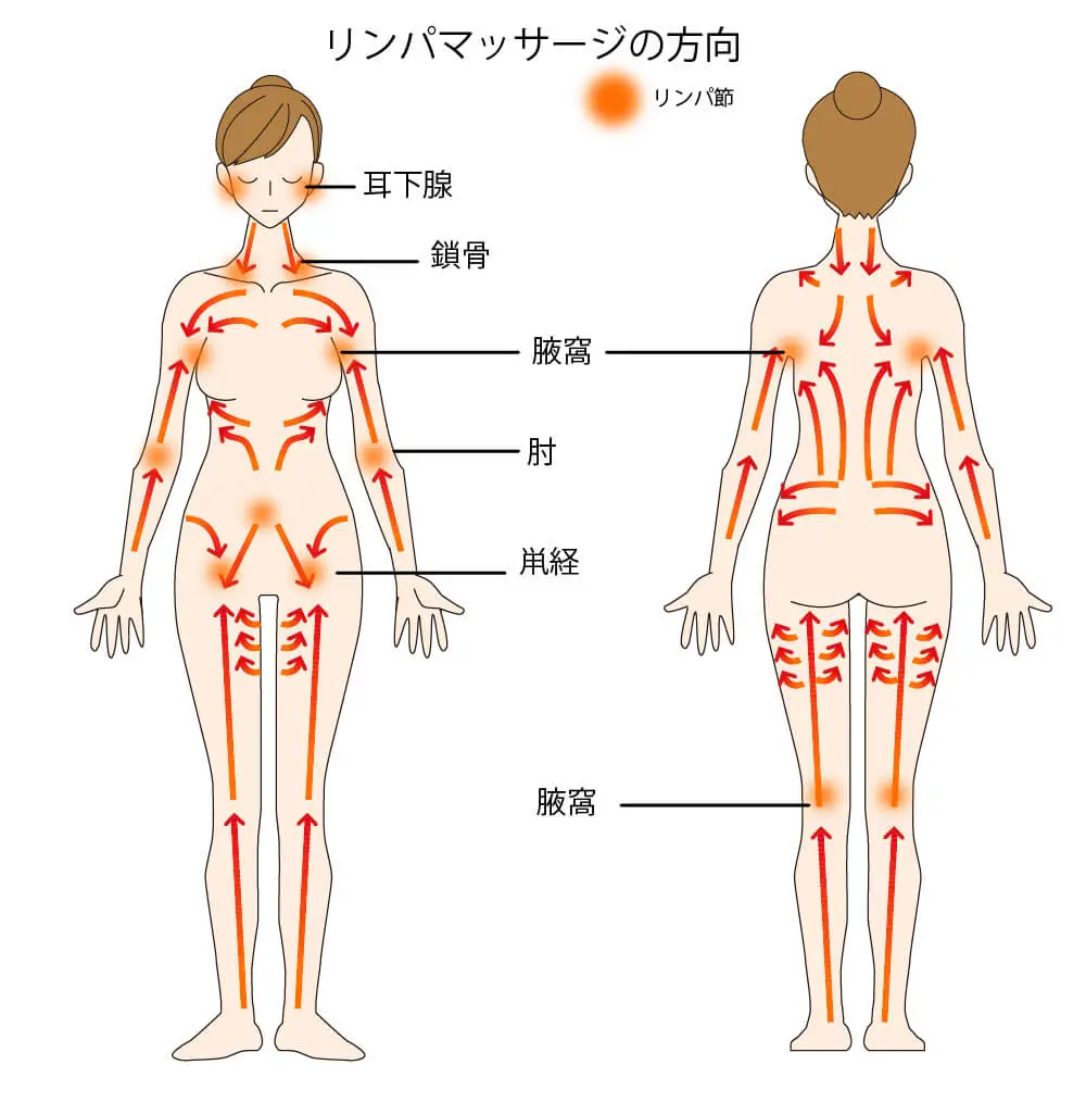 小顔になる！顔のリンパマッサージのやり方とおすすめオイル&クリーム