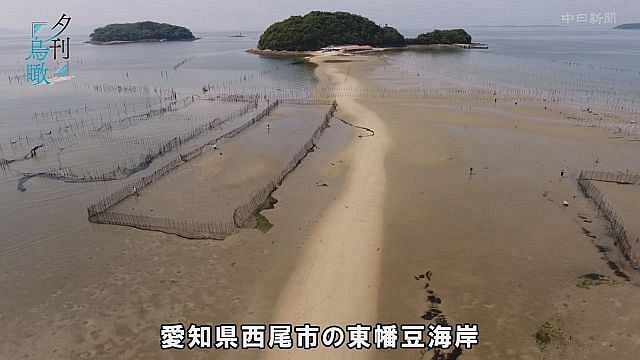 性海山 宝樹院 妙善寺(西尾市東幡豆町) 三河海岸大師九番札所