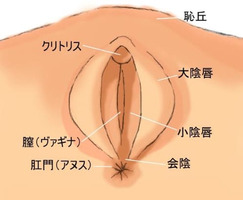 男が手マンの時に考えていること イク方法、お願いの方法も伝授 | オトナのハウコレ