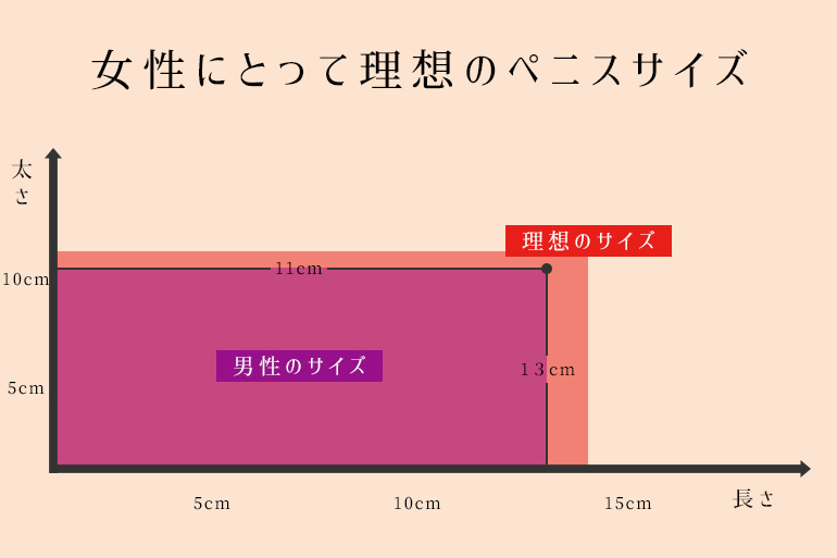 世界の平均ペニスサイズは何cm~？【韓国・米国・日本】