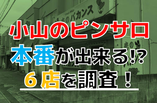 栃木・小山デリヘルおすすめ6選！ | よるよる