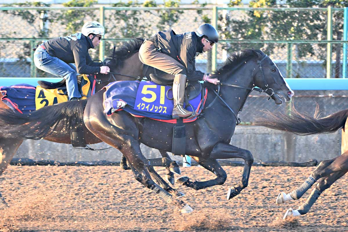 ジャパンC枠順】GⅠ・5連勝中のイクイノックスは1枠2番、三冠牝馬リバティアイランドは1枠1番｜競馬×AI×データ分析【SPAIA競馬】