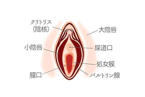 クリトリスオナニーやり方！イク方法とコツ - 夜の保健室