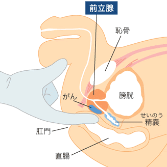 白雪ほたる（26） 成田快楽Ｍ性感倶楽部～前立腺マッサージ専門～ - 成田/風俗エステ｜風俗じゃぱん