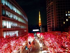 バロックシティ麻布十番（港区麻布十番）の高級賃貸｜ユウキ・ホーム