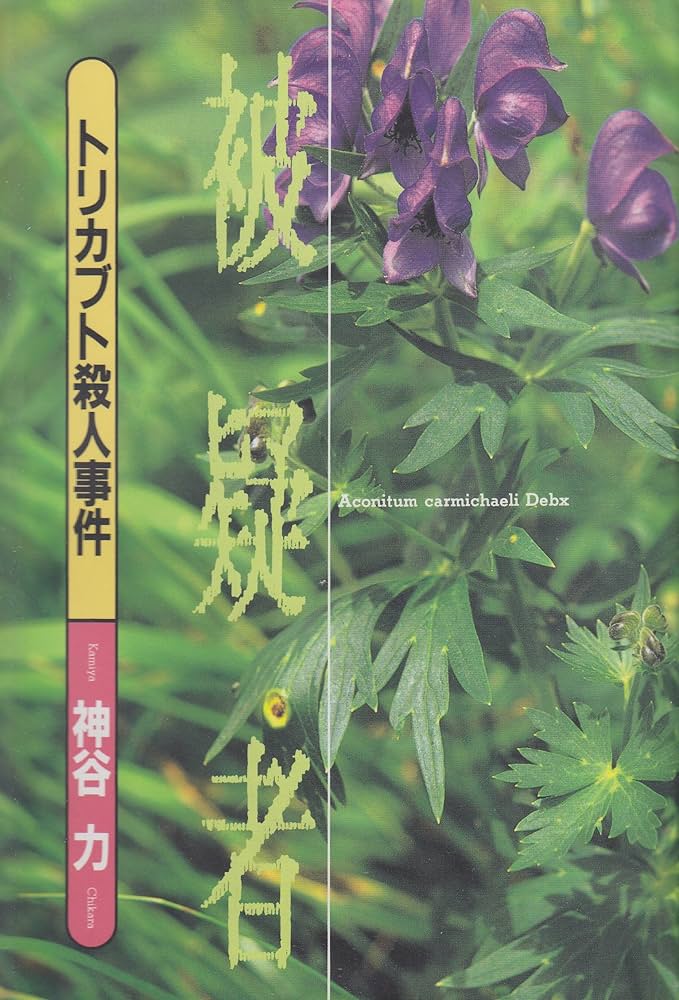 あくしょんHIGHSCHOOL 1992年7月号 神谷純子・今泉聖子・畑野さゆり・未来ひかる・花園りお・小林愛美・柴田はるか・美樹あゆみ /