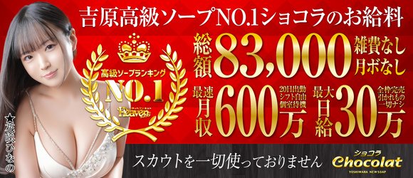 吉原の風俗求人【バニラ】で高収入バイト