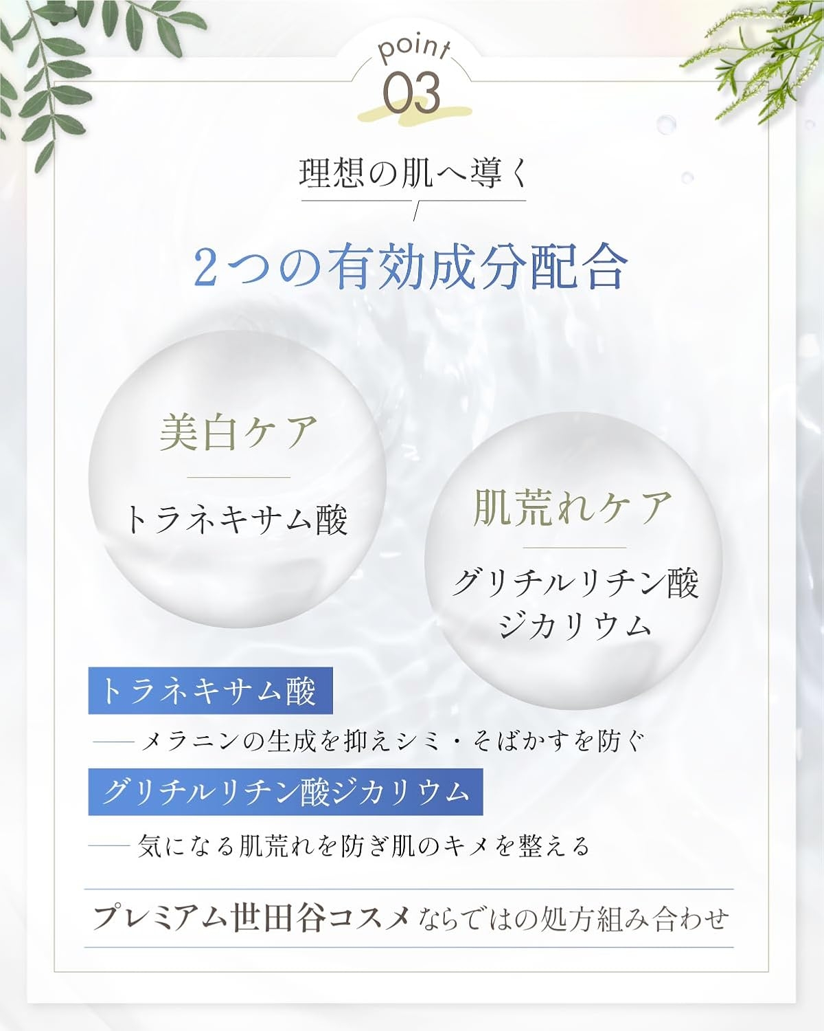 2024年最新】愛知・名古屋のメンズエステ”ワタセラ”は抜きあり？料金・口コミを公開！ | midnight-angel[ミッドナイトエンジェル]