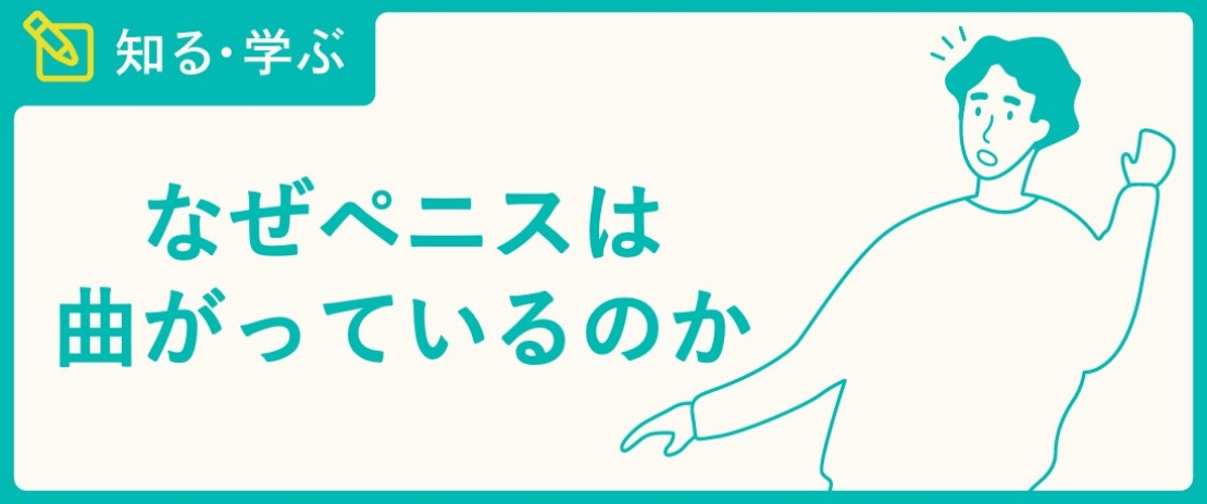 結局どこが良いの？ちんポジのあれこれを調査してみた｜BLニュース ちるちる