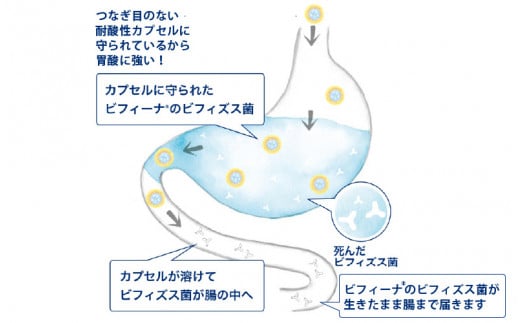 このサイトについて：JR南草津駅すぐ・滋賀県草津市メープルクリニック｜職場のメンタルヘルス／心療内科・神経科