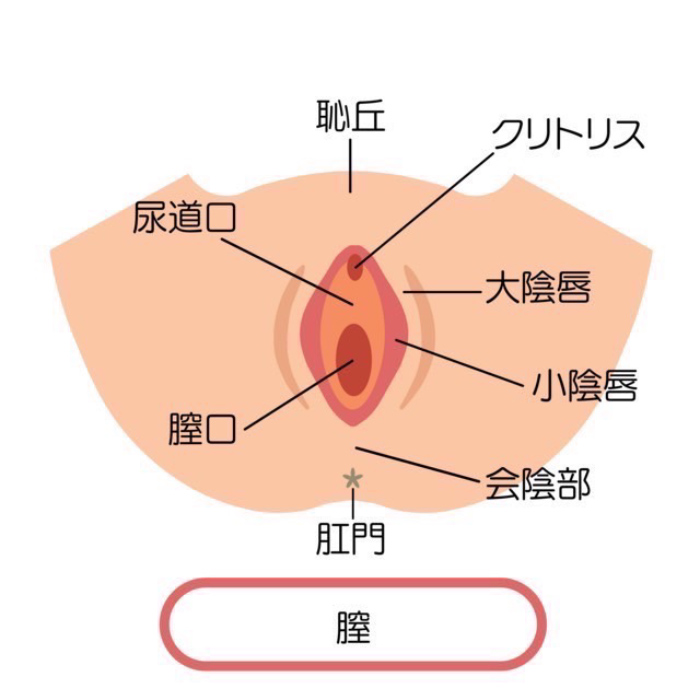 仮性包茎とは？症状・治し方等について｜MSクリニック