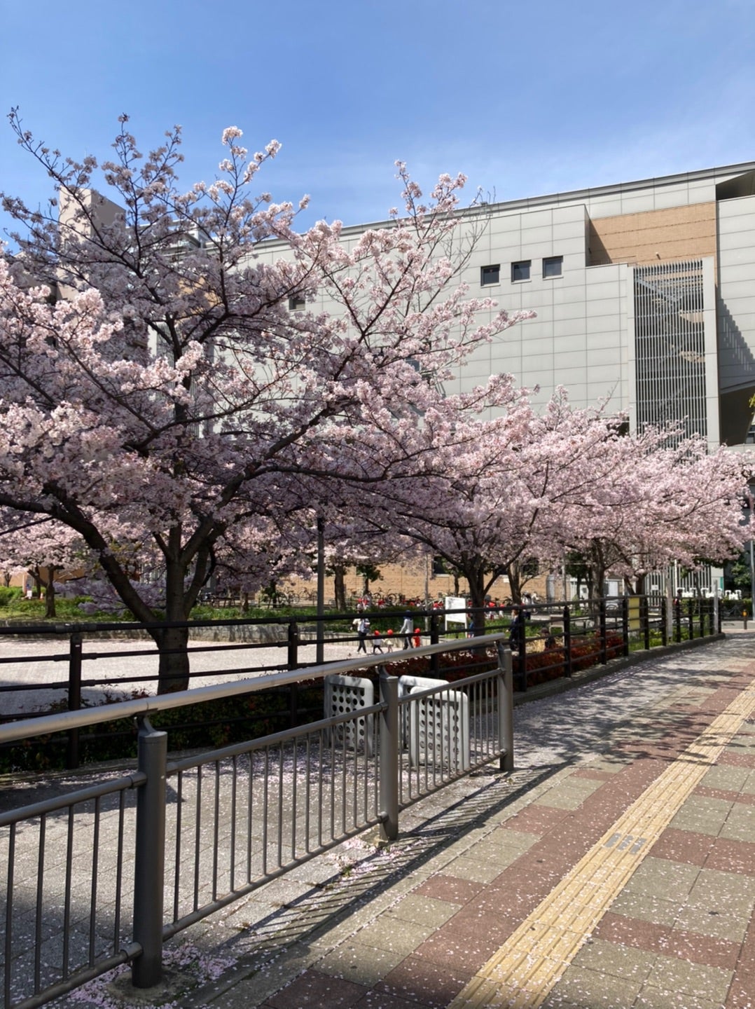 和泉市］10月19日にオープンイベント 里山の自然とふれあう／信太山自然公園 