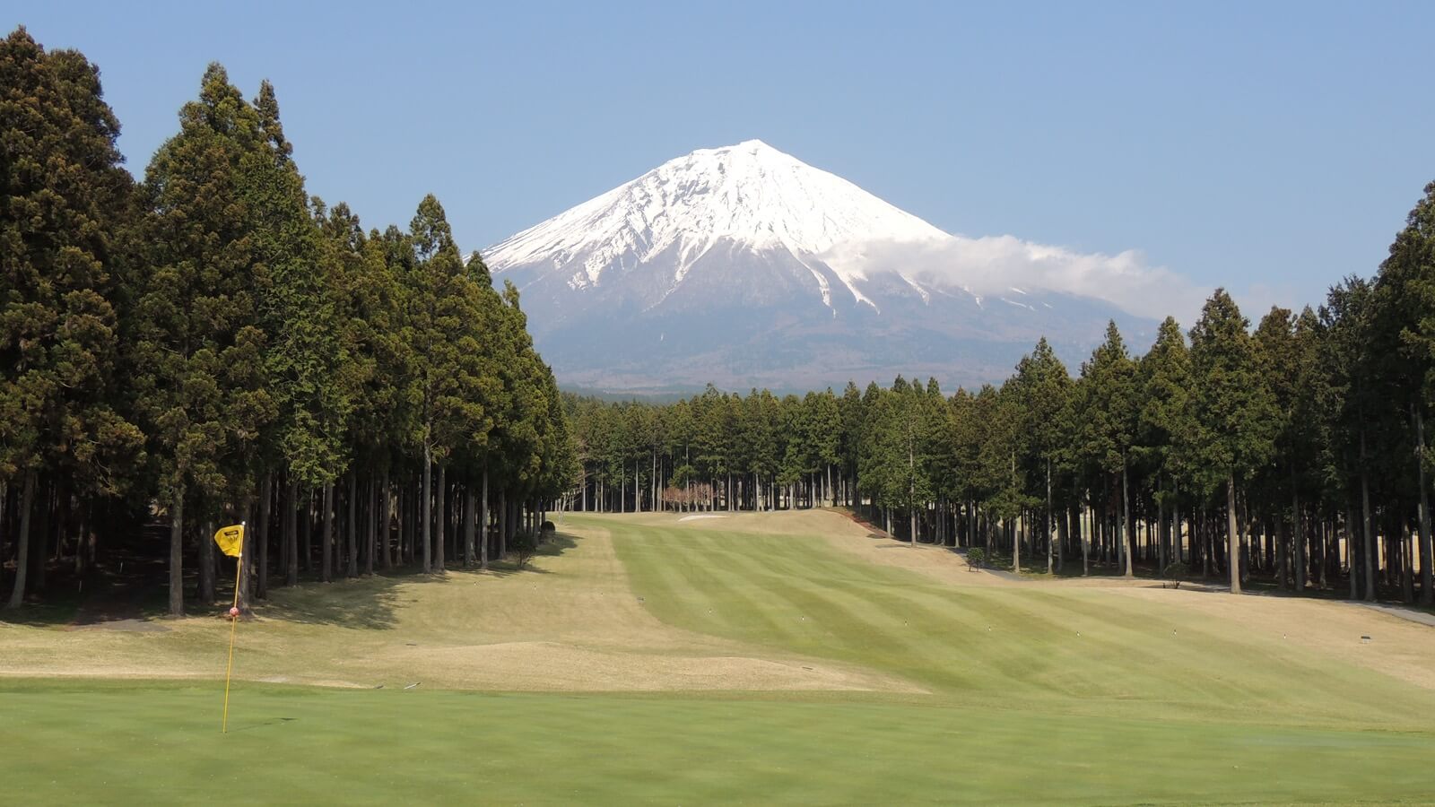 ＪＡＰＡＮクラブ富士（横浜市神奈川区/飲食店）の住所・地図｜マピオン電話帳