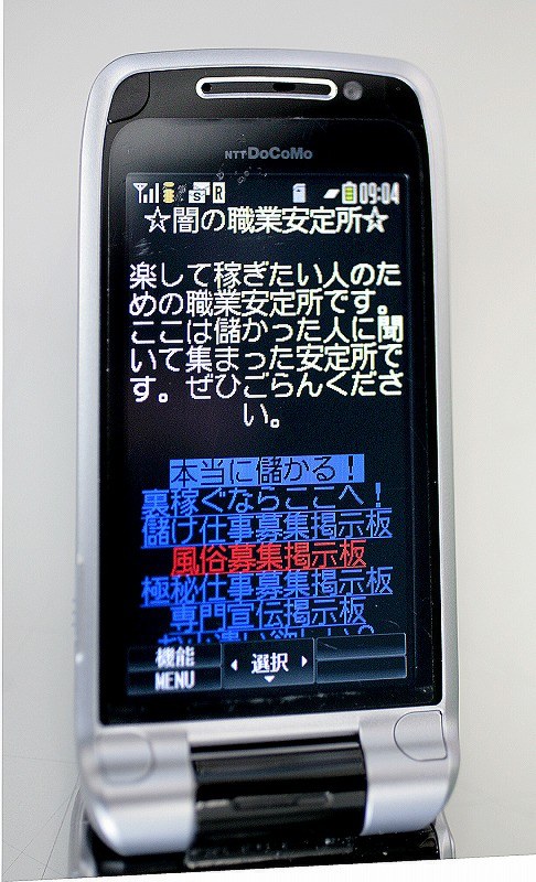 風営法違反で警告》選挙ポスター掲示板「女性専用風俗店」の運営者が罪に問われる可能性 弁護士が指摘｜NEWSポストセブン