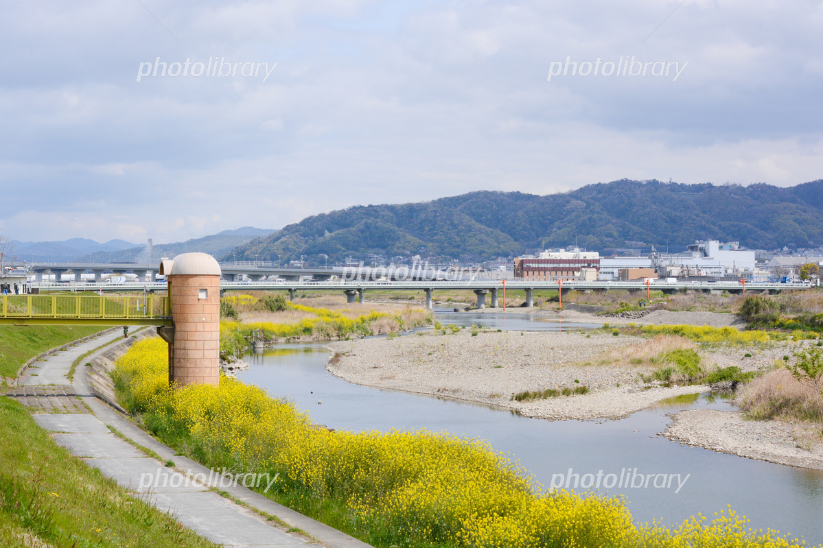 日本、大阪市のTsudoya 鶴橋 Beni、2024年の価格、別荘の予約