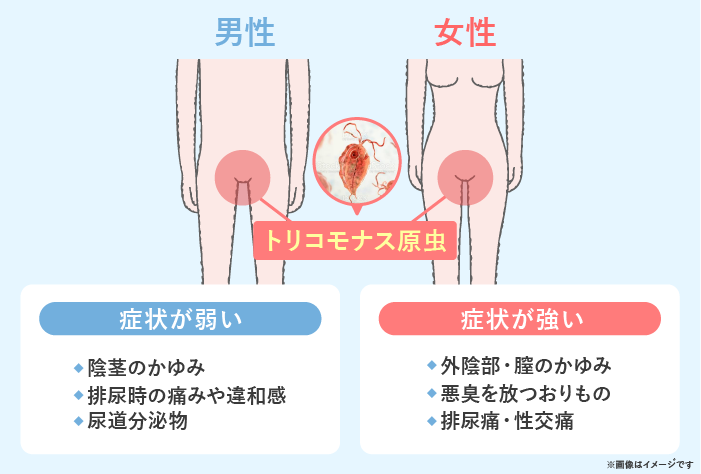 特集「気になるおりものの異常とかゆみ」｜山口レディスクリニック 神戸三宮の婦人科クリニック