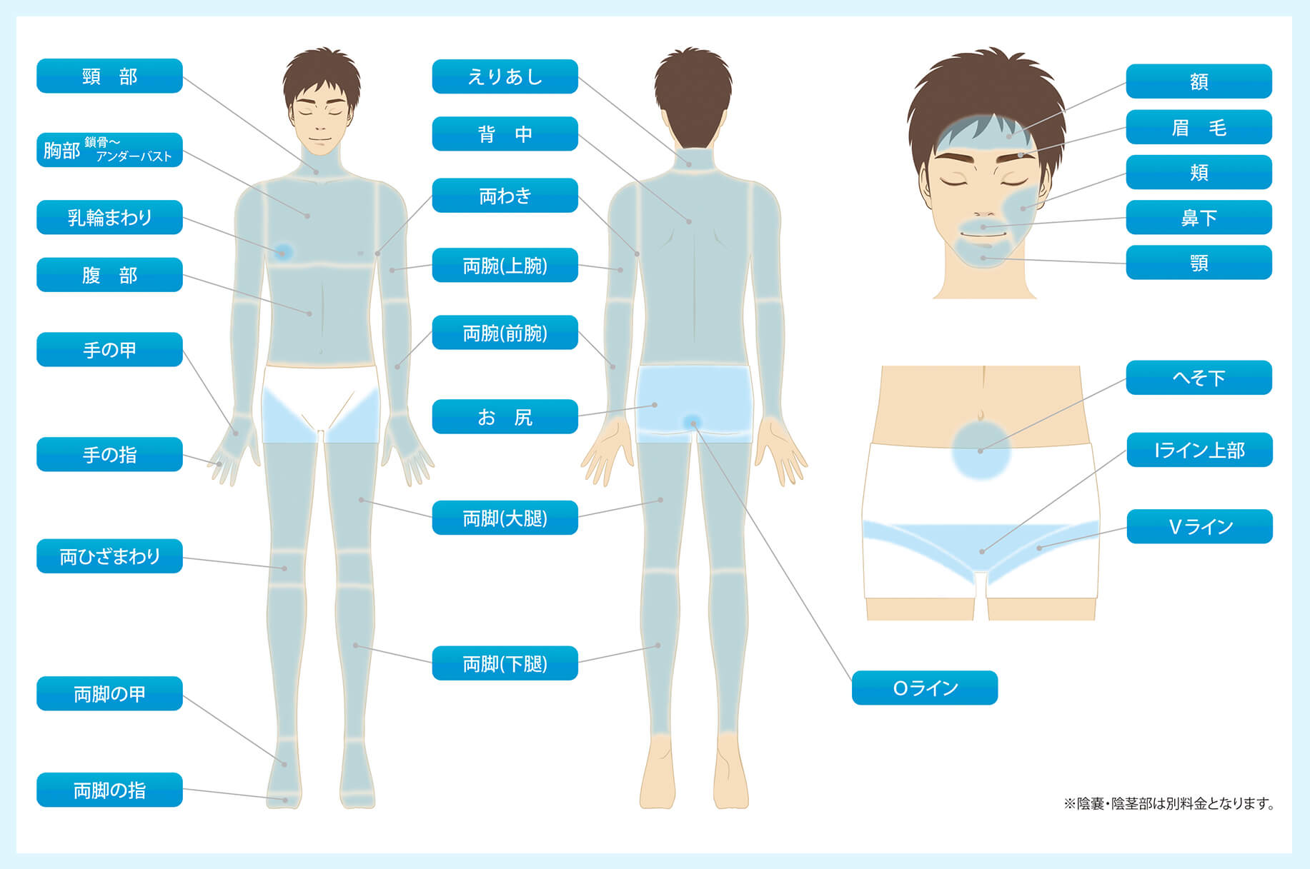 男性のVIO脱毛はあり？女性の本音を座談会で公開！ - メンズ