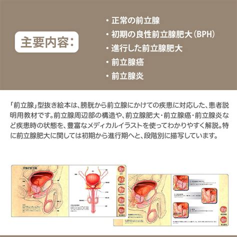 2024年新着】納屋橋／前立腺のヌキあり風俗エステ（回春／性感マッサージ） - エステの達人