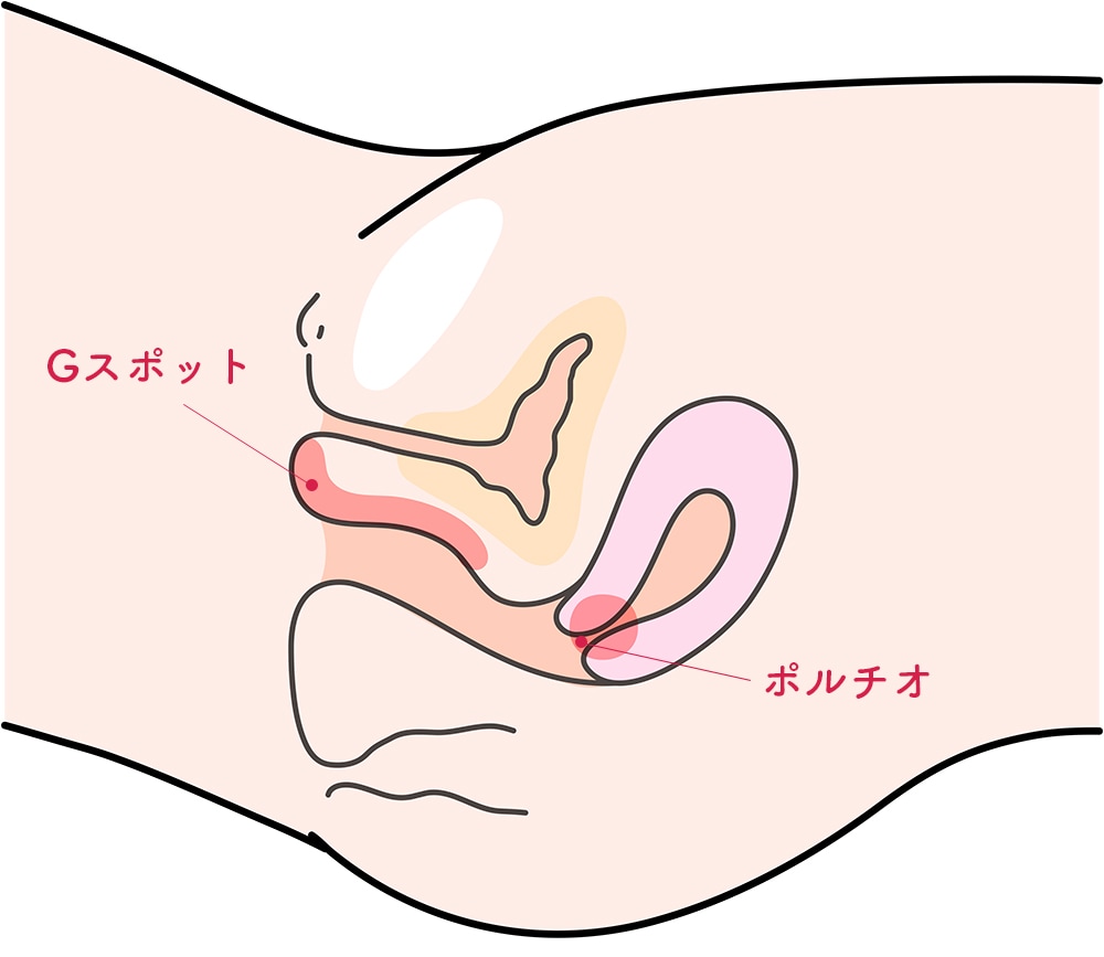 クリトリスの皮を剥くコツは？クリイキするための正しい剥き方をイラストでチェック