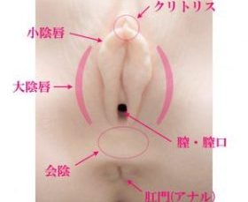 クリトリスの触り方！クリ愛撫でのいじり方 - 夜の保健室