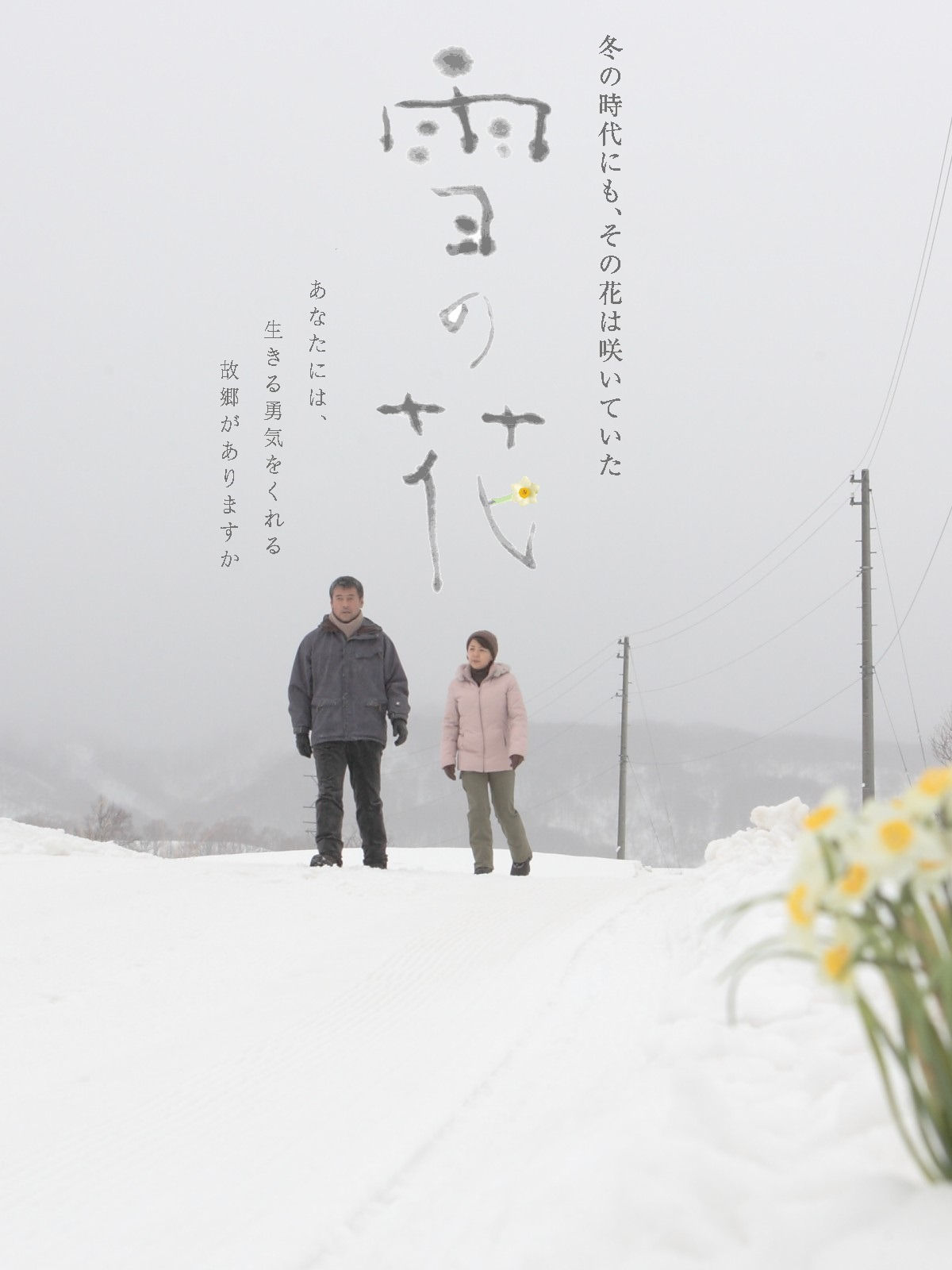 雪の花桃 写真素材 [ 5964275