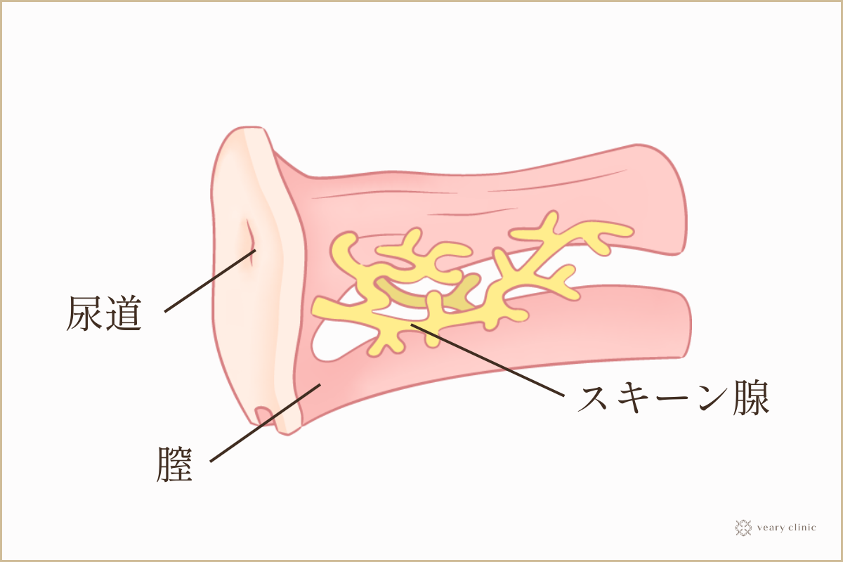 極致愛撫2-女性器篇– 女星露点小栈