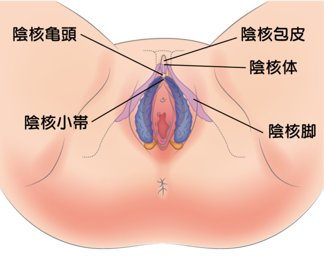 不感症とは？性行為で快感が得られない理由と対処法 - 藤東クリニックお悩みコラム