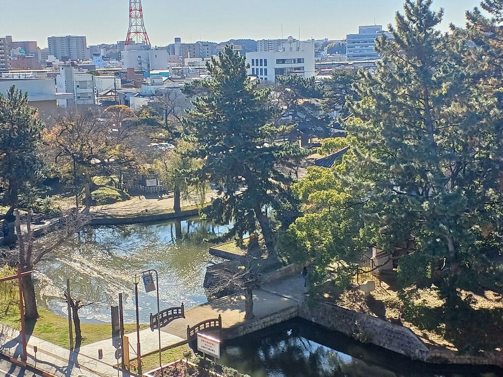 天井に変わった黒い汚れがある車内を全部清掃 スズキスプラッシュ 茨城県神栖市