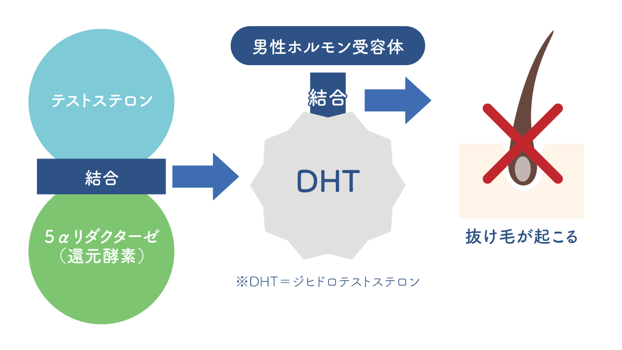 マスターベーション | あしたガイド