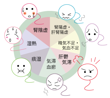 ステキな大人になるために８ ～二次性徴・受精～