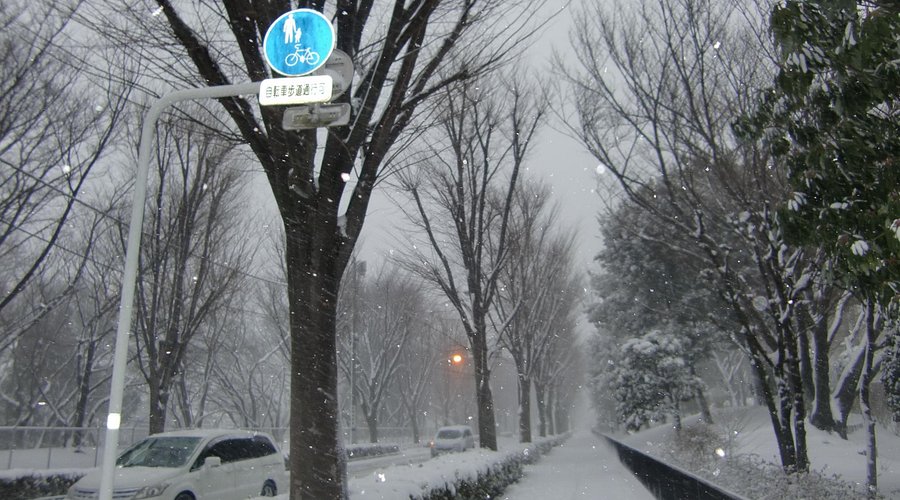 雪の青葉台 - 朝霞市、青葉台公園の写真