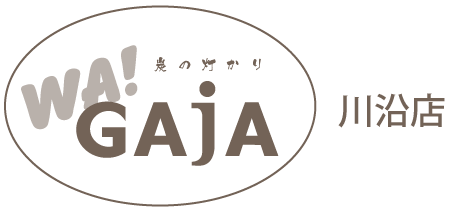 Gaja 恵庭店