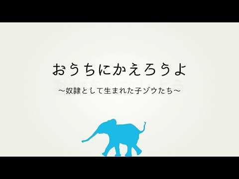 動物を解放しよう！～動物解放団体LIBの目黒峯人さんに聞く - YouTube