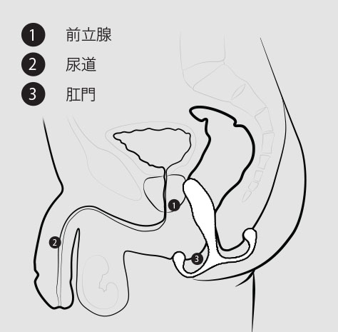 体外式ポルチオ開発とは？】挿入せずに子宮揺らしで腹イキする方法 | シンデレラグループ公式サイト