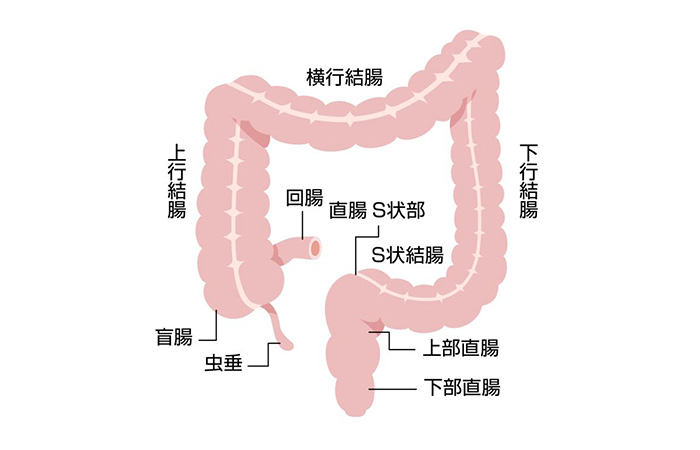 睡姦レ○プAV企画の撮影とは知らずに、1 [VIVA.MIKINOSUKE] |